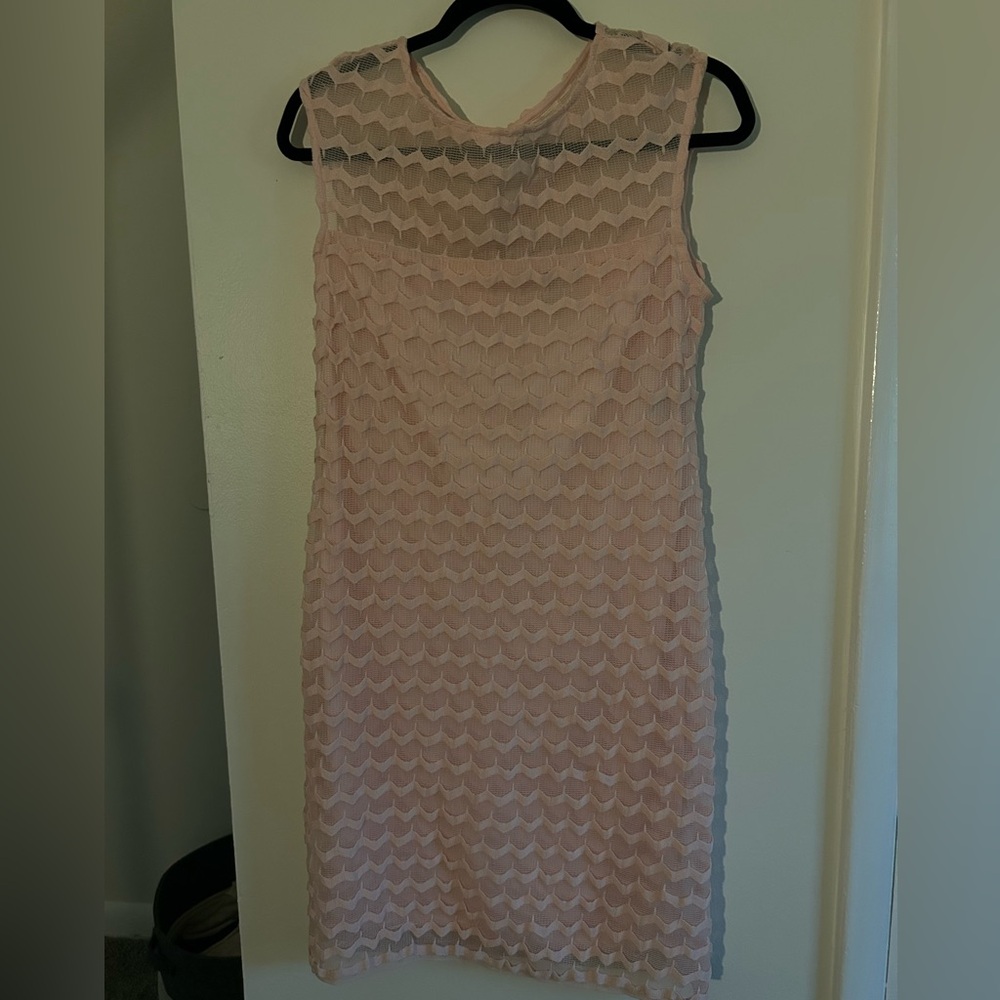 Pink RMLL CATO Dress Size 6 Sleeveless Wedding Formal